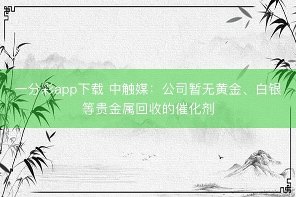 一分彩app下载 中触媒:公司暂无黄金、白银等贵金属回收的催化剂