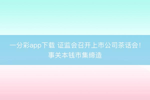 一分彩app下载 证监会召开上市公司茶话会!事关本钱市集缔造