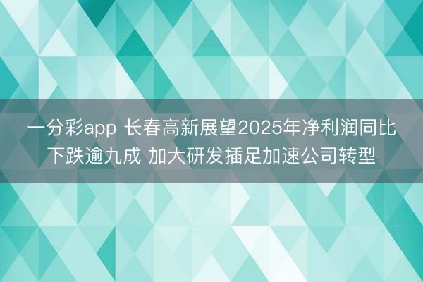 一分彩app 长春高新展望2025年净利润同比下跌逾九成 加大研发插足加速公司转型