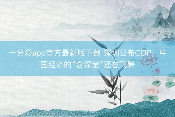 一分彩app官方最新版下载 深圳公布GDP，中国经济的“含深量”还在飞腾
