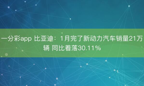 一分彩app 比亚迪:1月完了新动力汽车销量21万辆 同比着落30.11%