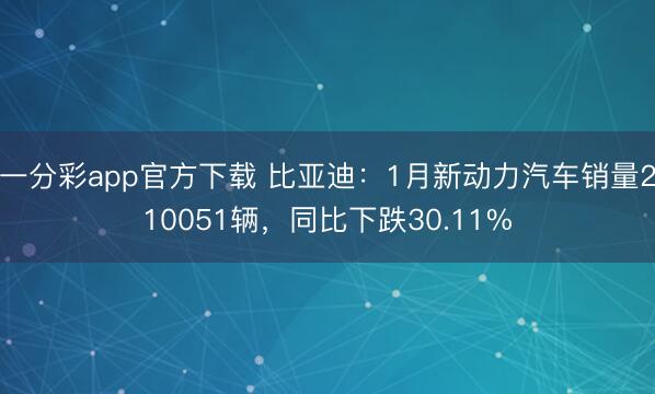 一分彩app官方下载 比亚迪：1月新动力汽车销量210051辆，同比下跌30.11%