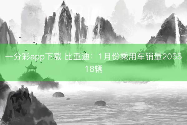 一分彩app下载 比亚迪：1月份乘用车销量205518辆