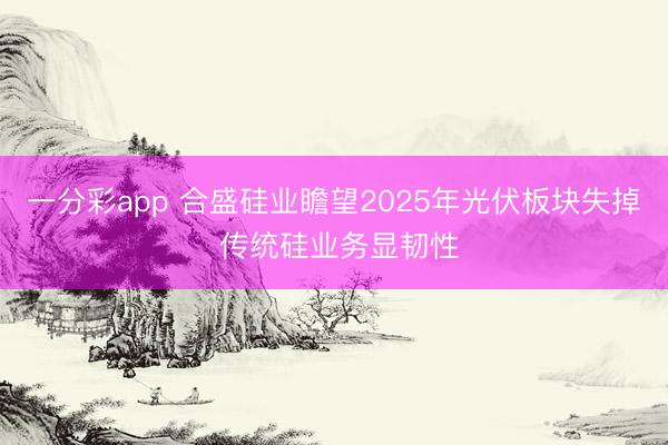 一分彩app 合盛硅业瞻望2025年光伏板块失掉 传统硅业务显韧性