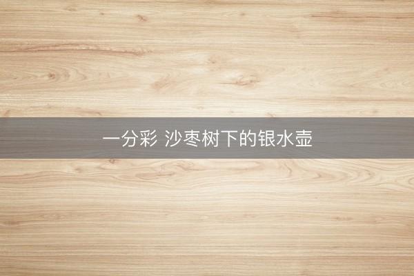 一分彩 沙枣树下的银水壶