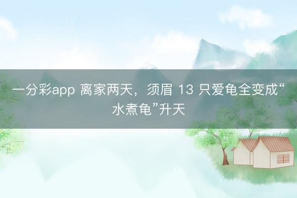 一分彩app 离家两天,须眉 13 只爱龟全变成“水煮龟”升天