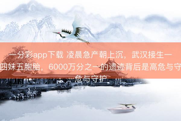 一分彩app下载 凌晨急产朝上沉，武汉接生一兄四妹五胞胎，6000万分之一的遗迹背后是高危与守护