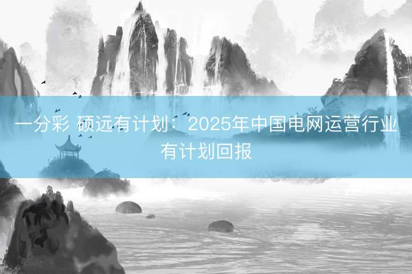 一分彩 硕远有计划：2025年中国电网运营行业有计划回报