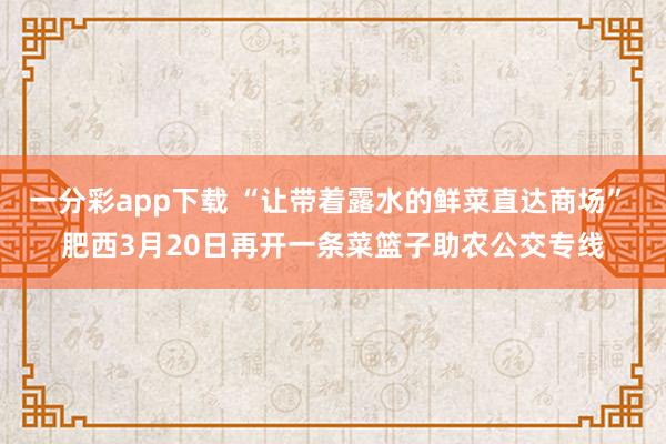 一分彩app下载 “让带着露水的鲜菜直达商场” 肥西3月20日再开一条菜篮子助农公交专线