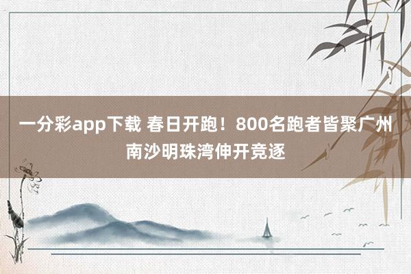 一分彩app下载 春日开跑！800名跑者皆聚广州南沙明珠湾伸开竞逐