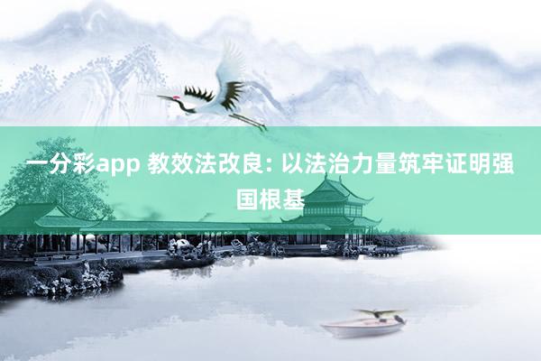 一分彩app 教效法改良: 以法治力量筑牢证明强国根基