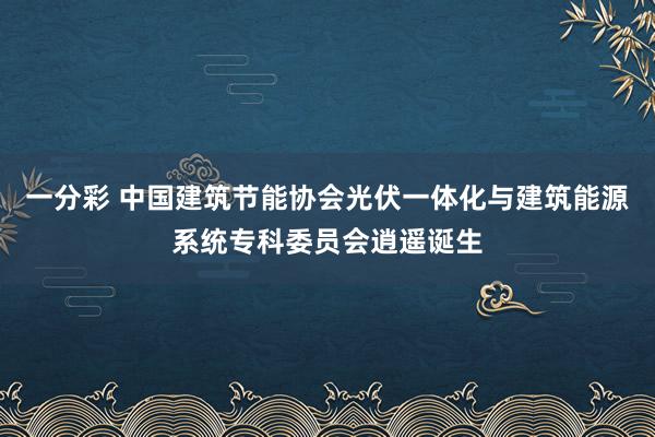 一分彩 中国建筑节能协会光伏一体化与建筑能源系统专科委员会逍遥诞生