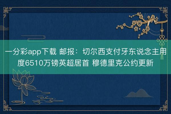 一分彩app下载 邮报：切尔西支付牙东说念主用度6510万镑英超居首 穆德里克公约更新