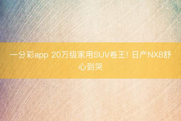 一分彩app 20万级家用SUV卷王! 日产NX8舒心到哭