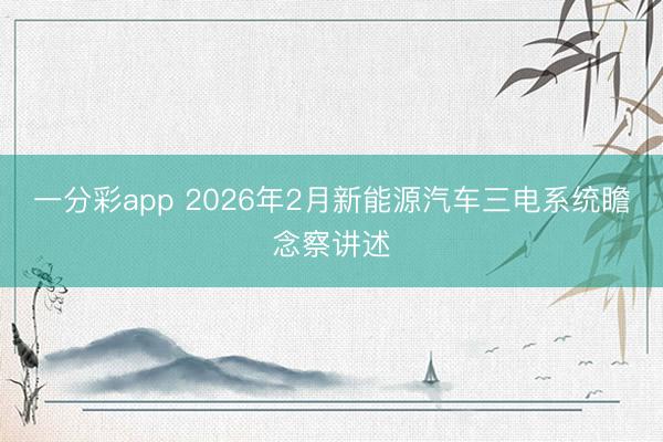 一分彩app 2026年2月新能源汽车三电系统瞻念察讲述