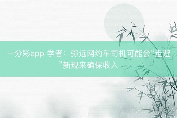 一分彩app 学者:弥远网约车司机可能会“走避”新规来确保收入