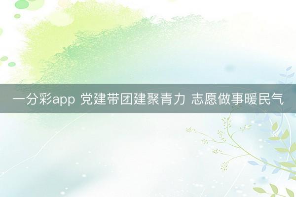 一分彩app 党建带团建聚青力 志愿做事暖民气