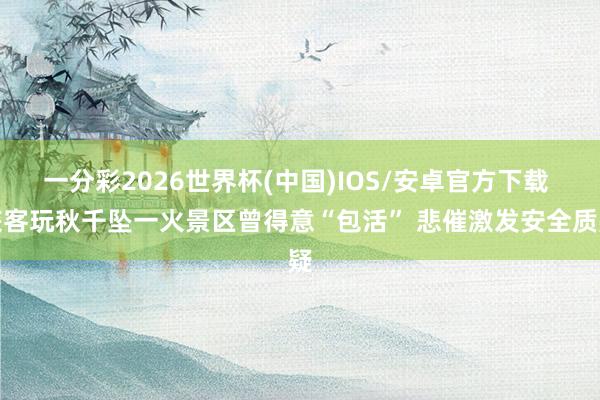 一分彩2026世界杯(中国)IOS/安卓官方下载 旅客玩秋千坠一火景区曾得意“包活” 悲催激发安全质疑