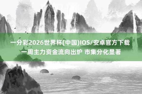 一分彩2026世界杯(中国)IOS/安卓官方下载 一周主力资金流向出炉 市集分化显著