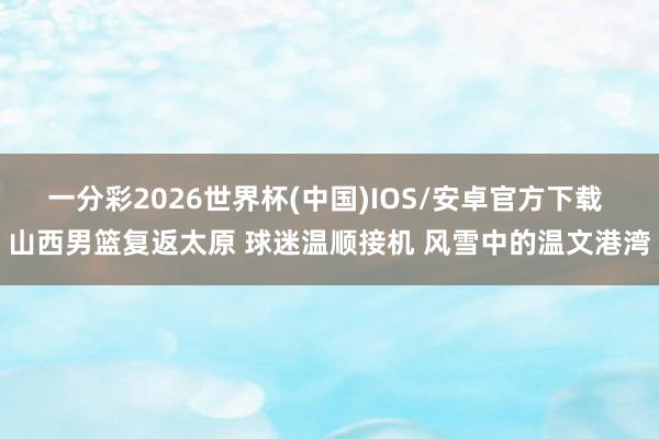 一分彩2026世界杯(中国)IOS/安卓官方下载 山西男篮复返太原 球迷温顺接机 风雪中的温文港湾