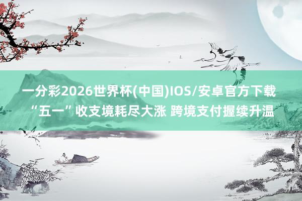 一分彩2026世界杯(中国)IOS/安卓官方下载 “五一”收支境耗尽大涨 跨境支付握续升温