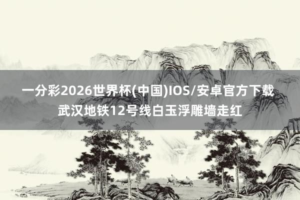 一分彩2026世界杯(中国)IOS/安卓官方下载 武汉地铁12号线白玉浮雕墙走红