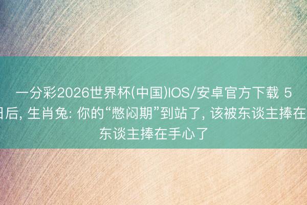 一分彩2026世界杯(中国)IOS/安卓官方下载 5月20日后， 生肖兔: 你的“憋闷期”到站了， 该被东谈主捧在手心了