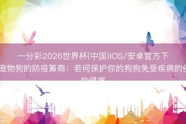 一分彩2026世界杯(中国)IOS/安卓官方下载 宠物狗的防疫筹商：若何保护你的狗狗免受疾病的侵害
