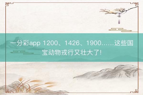 一分彩app 1200、1426、1900……这些国宝动物戎行又壮大了!