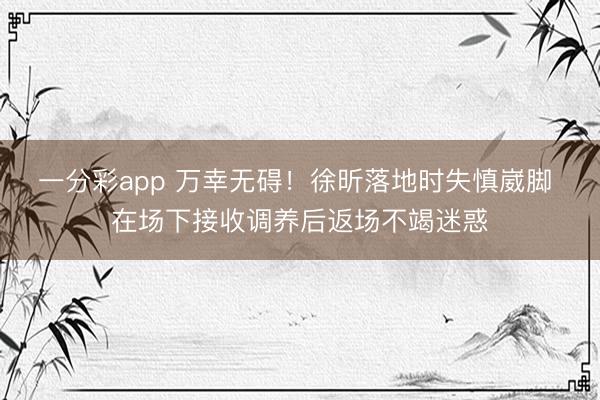 一分彩app 万幸无碍！徐昕落地时失慎崴脚 在场下接收调养后返场不竭迷惑