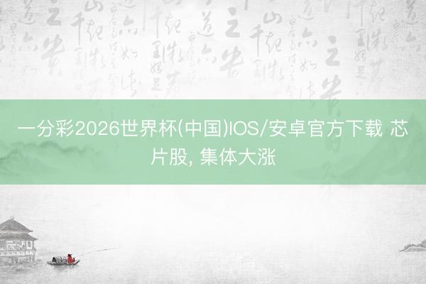 一分彩2026世界杯(中国)IOS/安卓官方下载 芯片股， 集体大涨