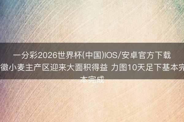 一分彩2026世界杯(中国)IOS/安卓官方下载 安徽小麦主产区迎来大面积得益 力图10天足下基本完成