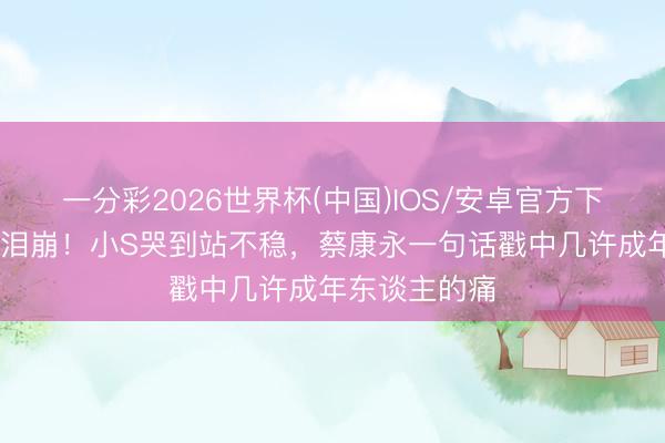 一分彩2026世界杯(中国)IOS/安卓官方下载 康熙合体泪崩！小S哭到站不稳，蔡康永一句话戳中几许成年东谈主的痛