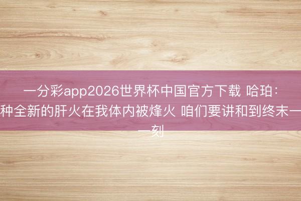 一分彩app2026世界杯中国官方下载 哈珀:一种全新的肝火在我体内被烽火 咱们要讲和到终末一刻