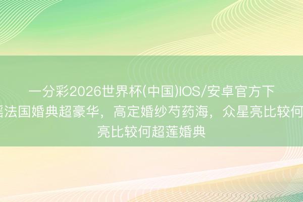一分彩2026世界杯(中国)IOS/安卓官方下载 奚梦瑶法国婚典超豪华，高定婚纱芍药海，众星亮比较何超莲婚典