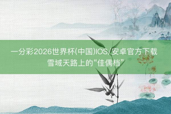 一分彩2026世界杯(中国)IOS/安卓官方下载 雪域天路上的“佳偶档”