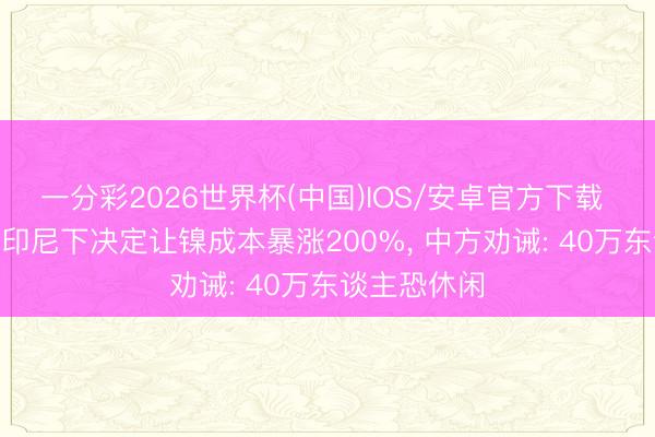 一分彩2026世界杯(中国)IOS/安卓官方下载 全面反华? 印尼下决定让镍成本暴涨200%， 中方劝诫: 40万东谈主恐休闲
